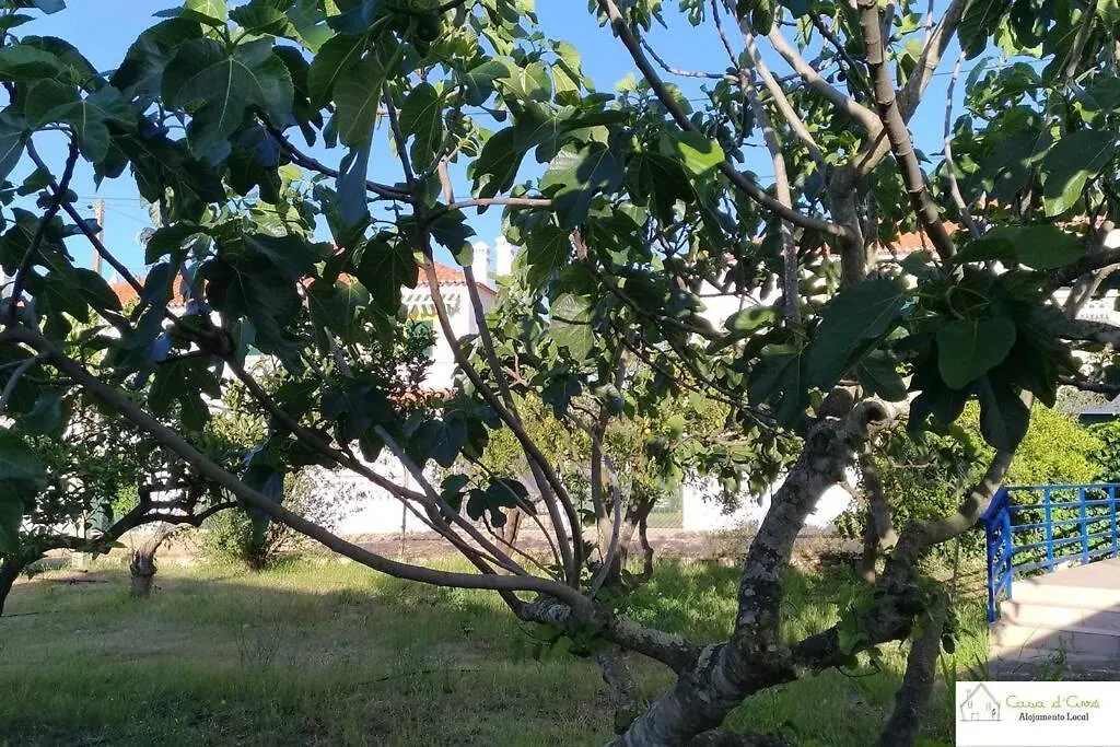 Casa D'Avo Apartamento Altura